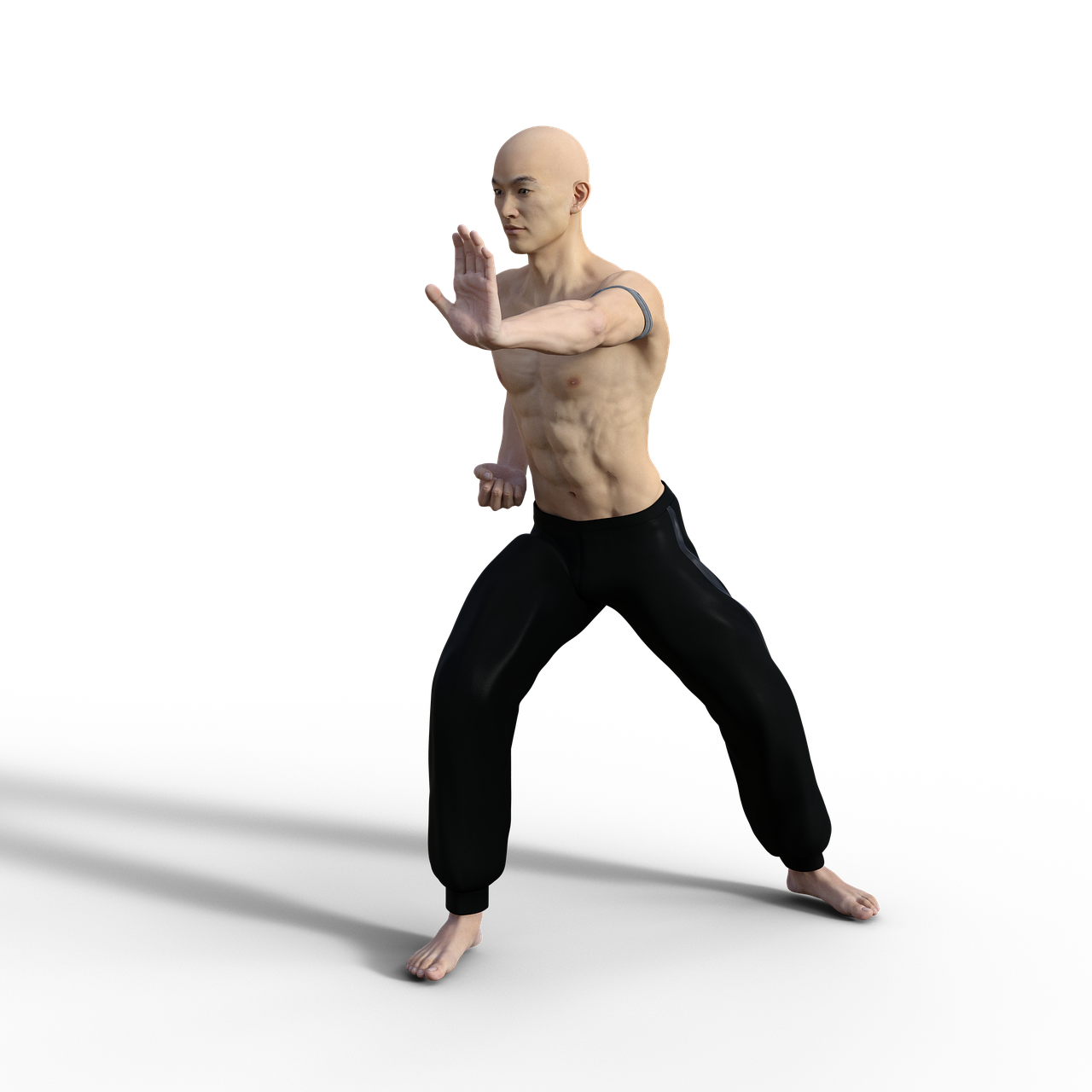 Kung Fu PNG Pic