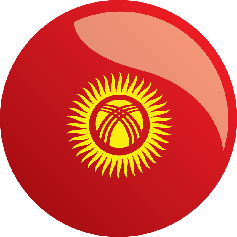 Kyrgyzstan Flag PNG Isolated HD