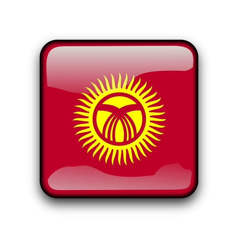 Kyrgyzstan Flag PNG Isolated Photo