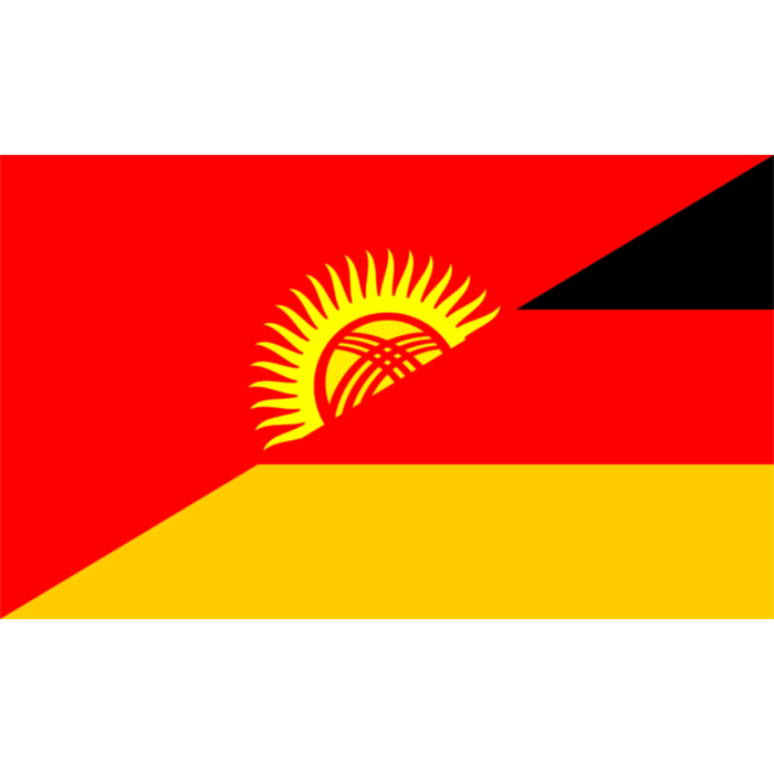 Kyrgyzstan Flag PNG Picture