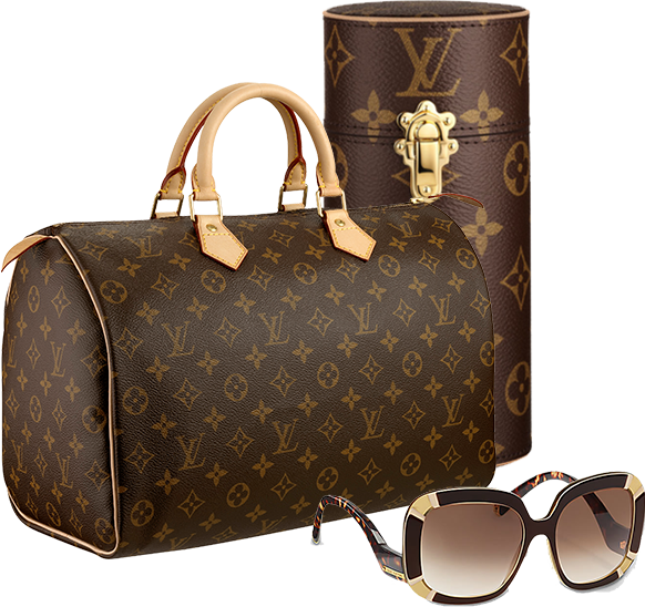 LV PNG Pic