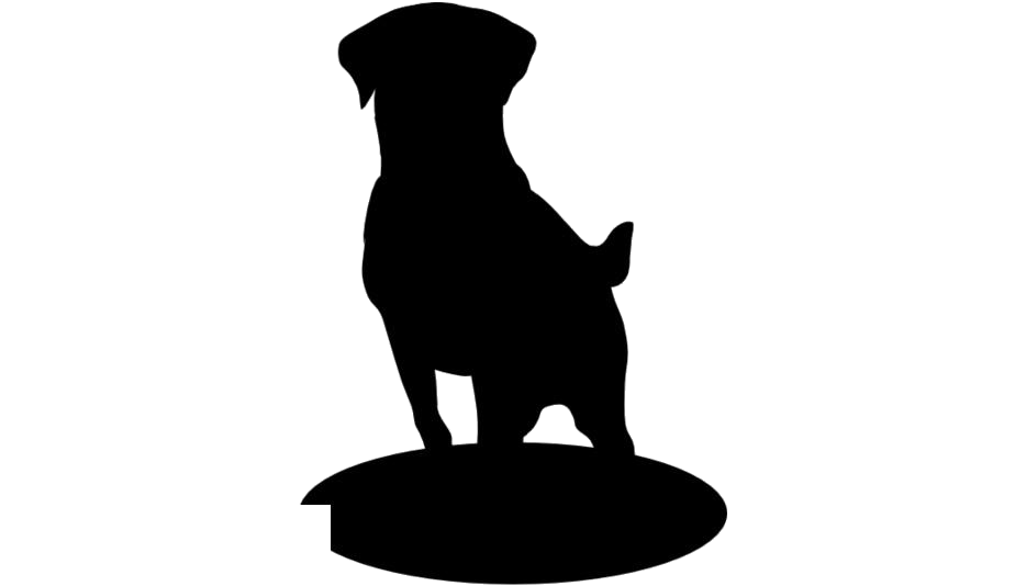 Labrador Retriever PNG Background Image