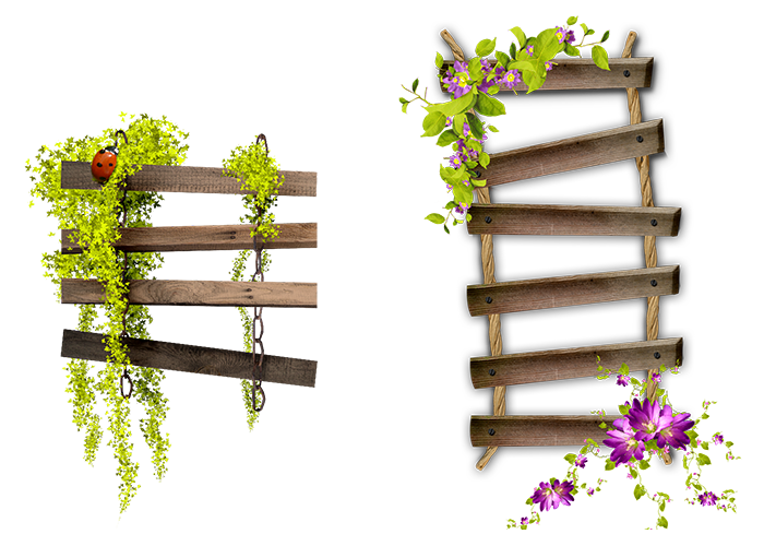 Ladder Transparent Isolated PNG