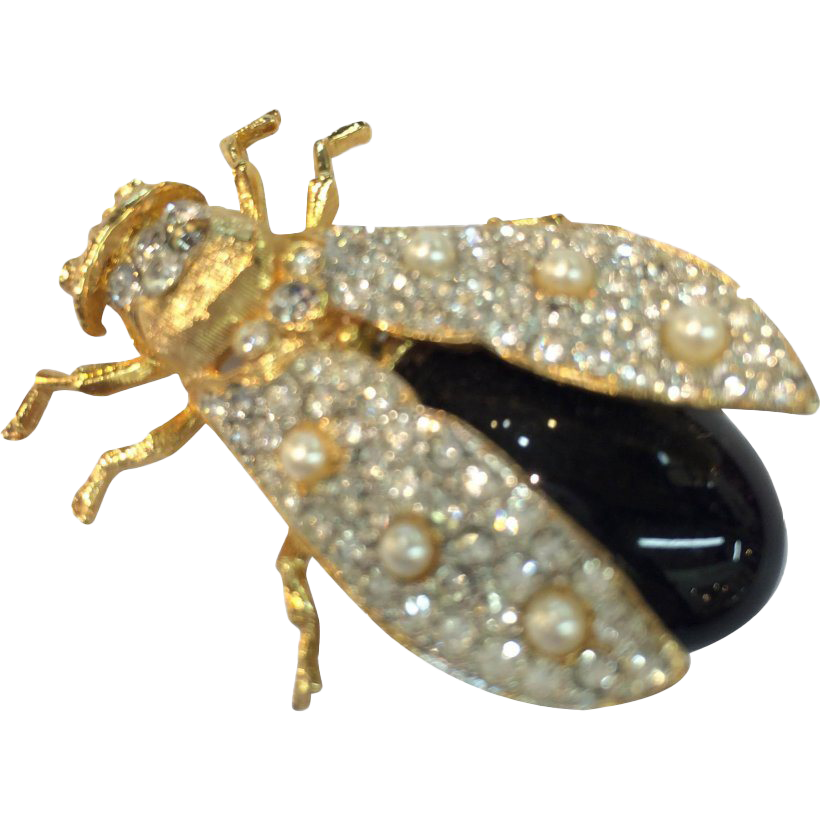 Leafhoppers PNG Image