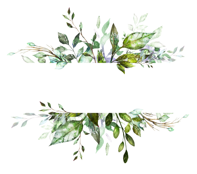 Leaves Border PNG HD