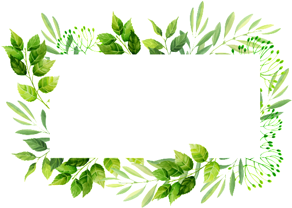 Leaves Border PNG Pic