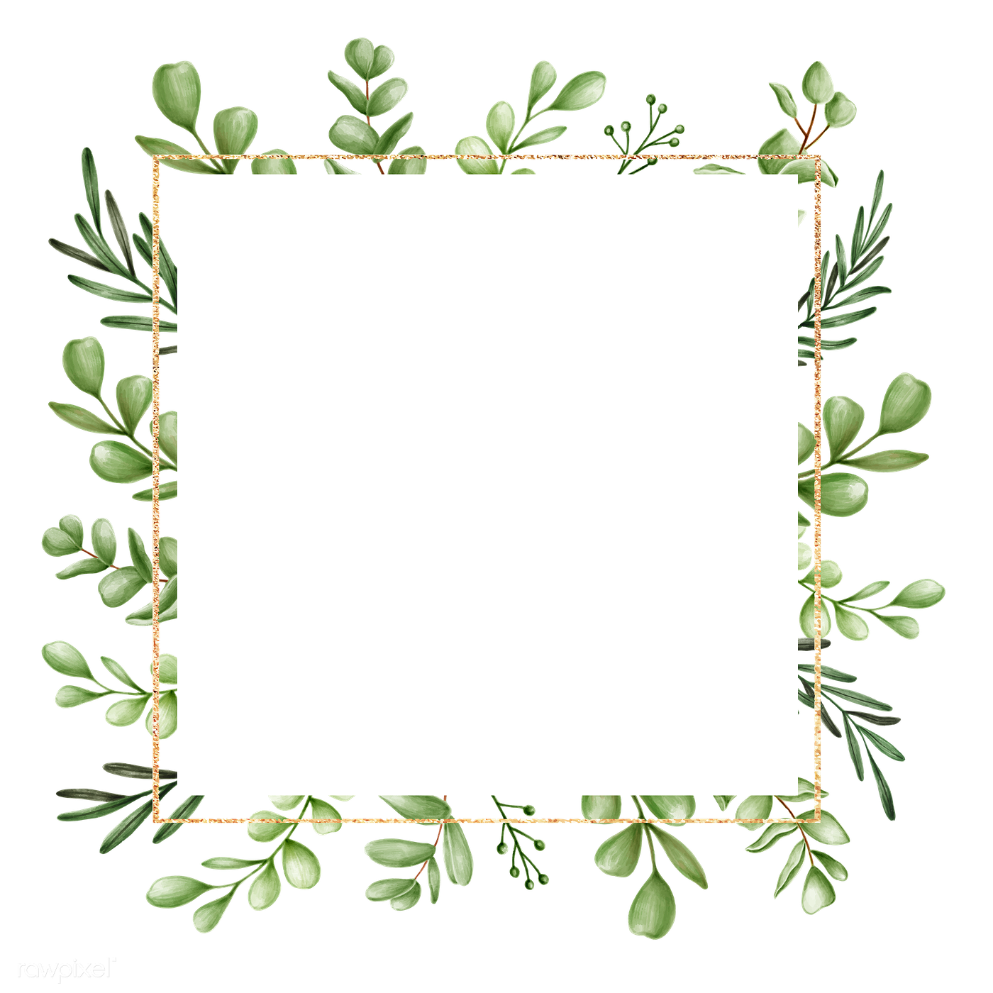 Leaves Frame PNG HD Isolated