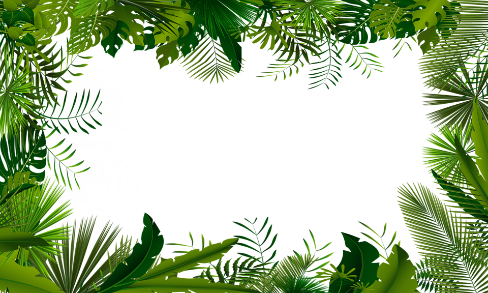 Leaves Frame PNG Pic
