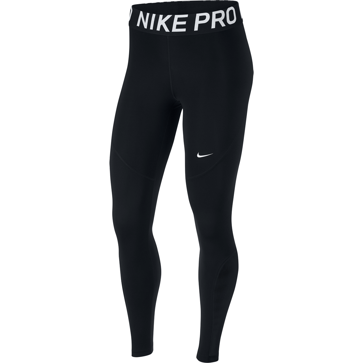Leggings Background Isolated PNG