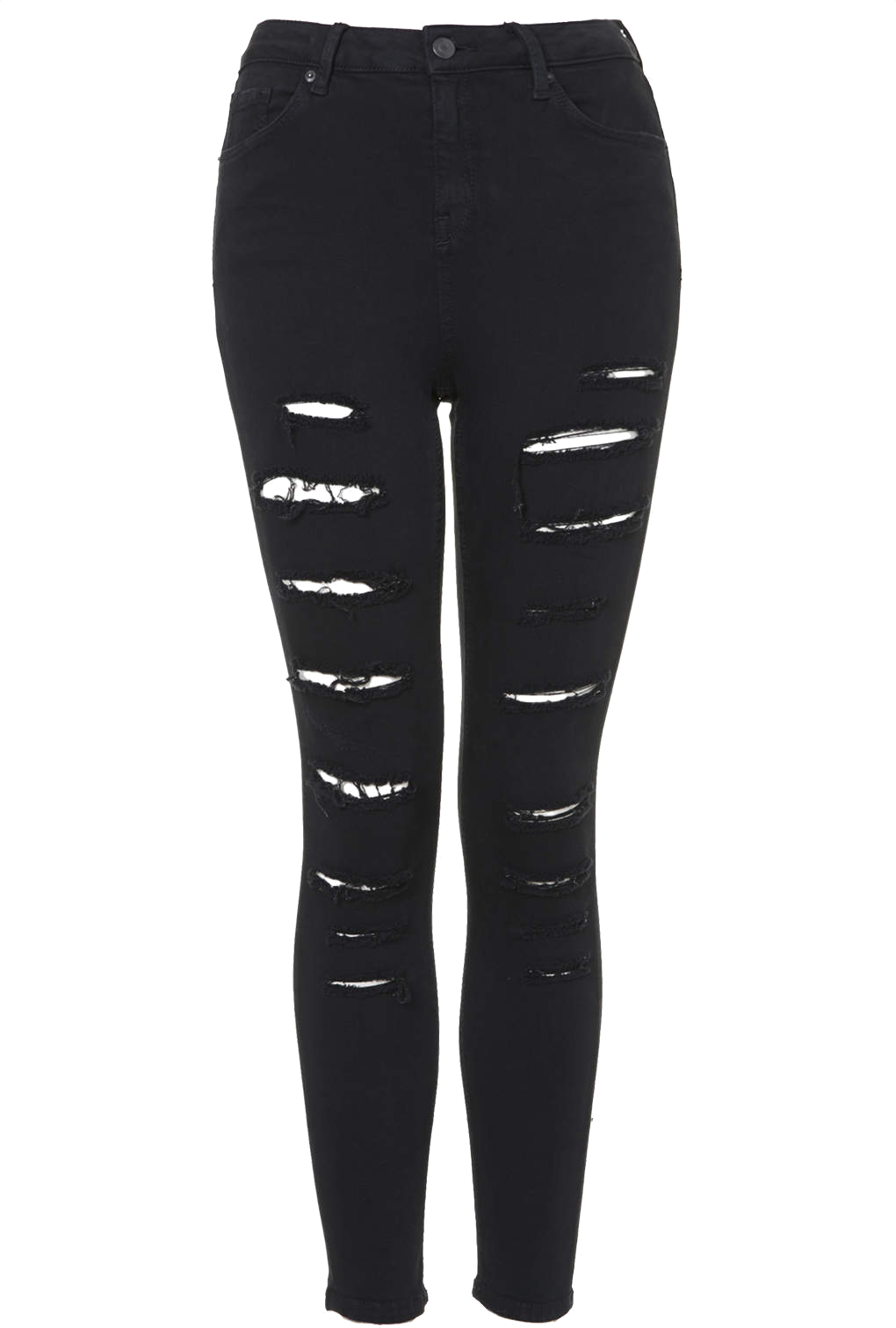 Leggings PNG Isolated Pic