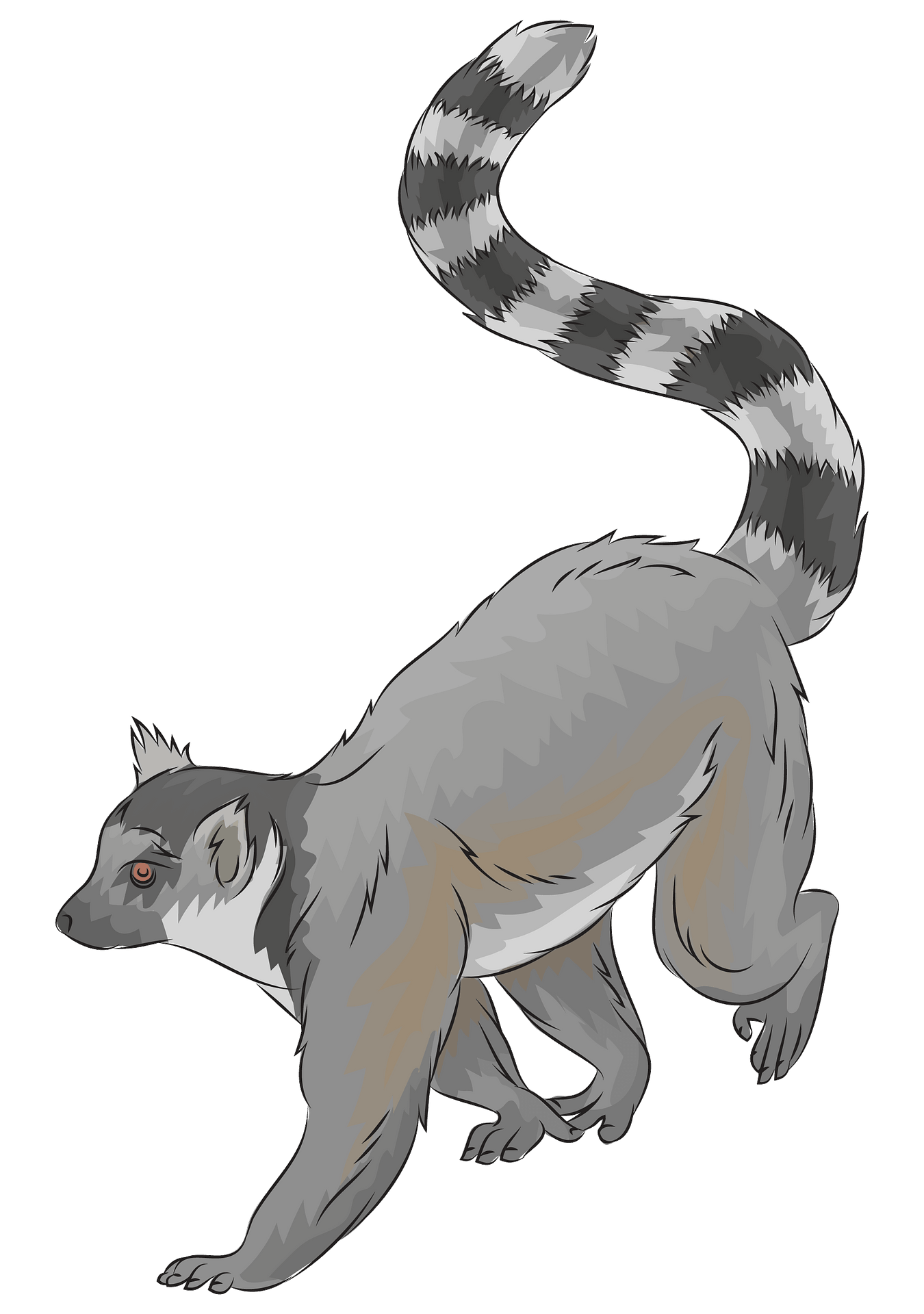 Lemurs PNG Isolated Pic