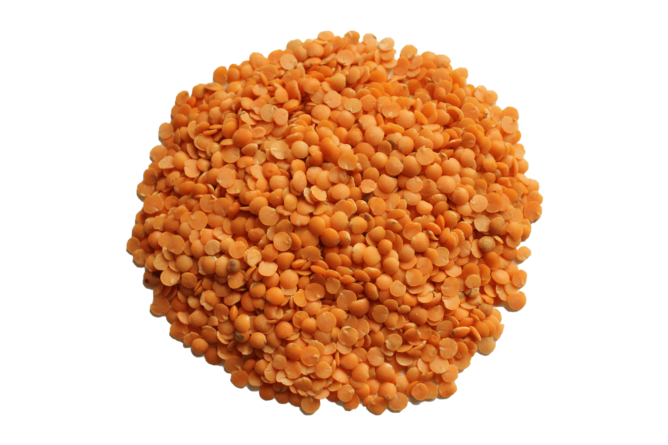 Lentils PNG Isolated Pic