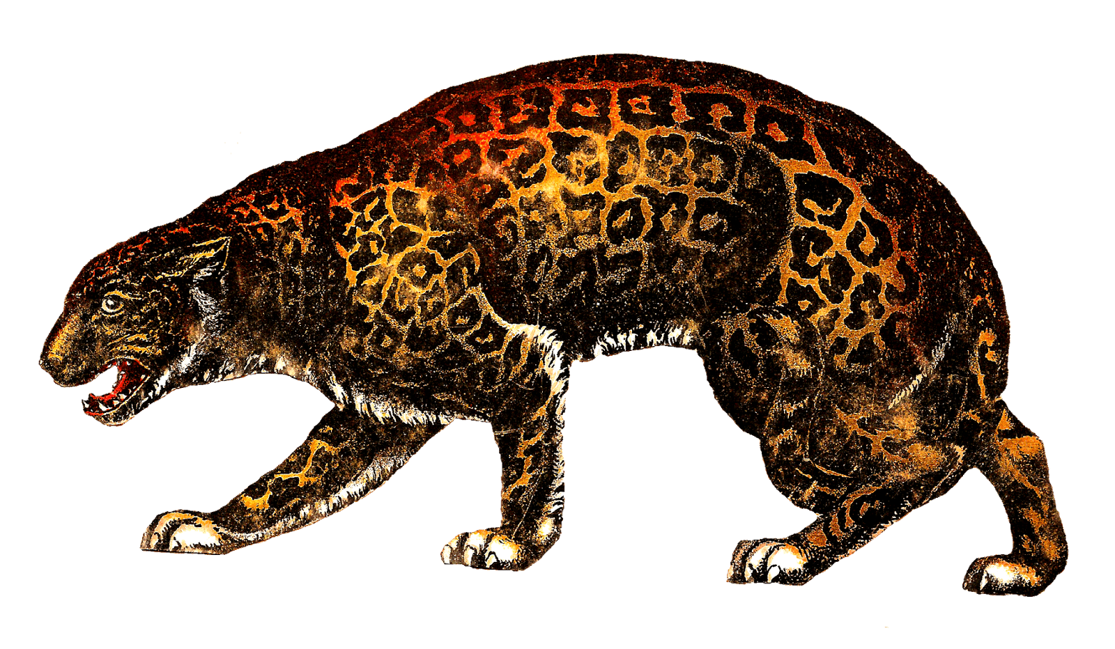 Leopards PNG Photo
