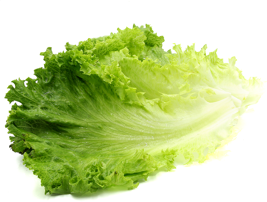 Lettuce PNG Free Download