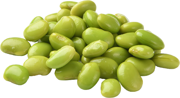 Lima Beans PNG Isolated HD
