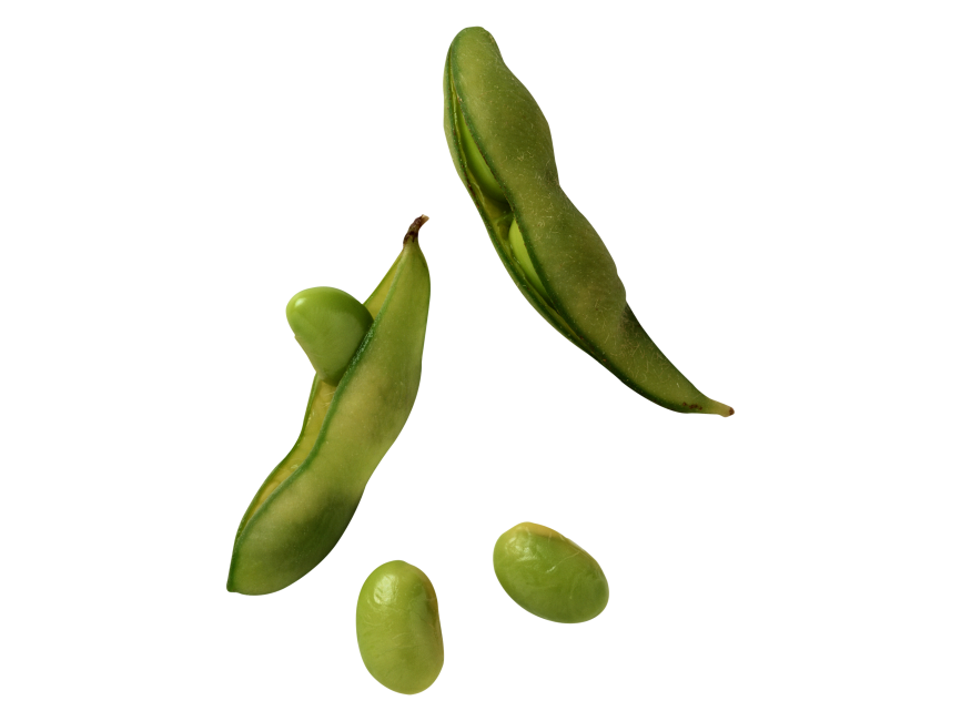 Lima Beans PNG Picture