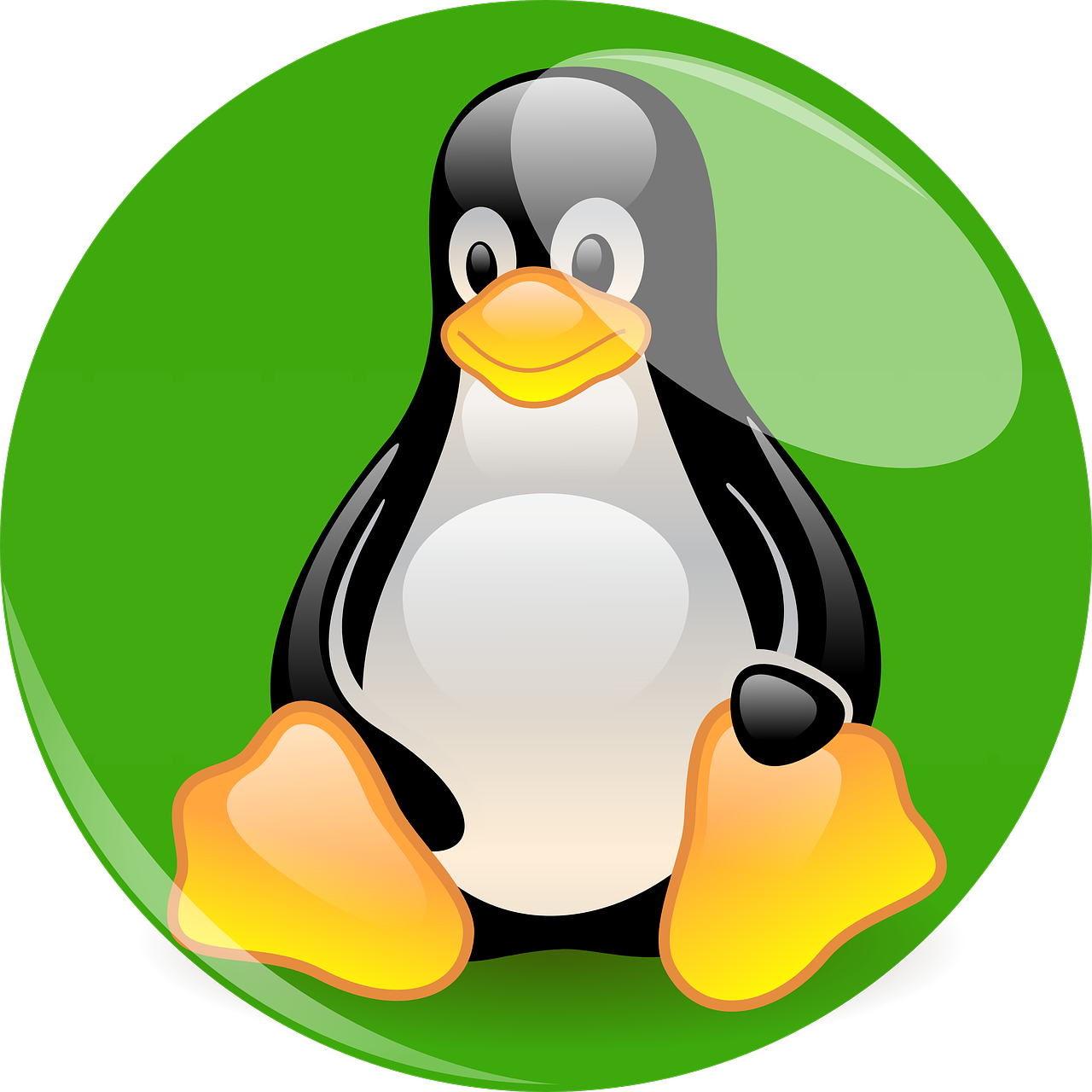 Linux PNG Transparent Picture