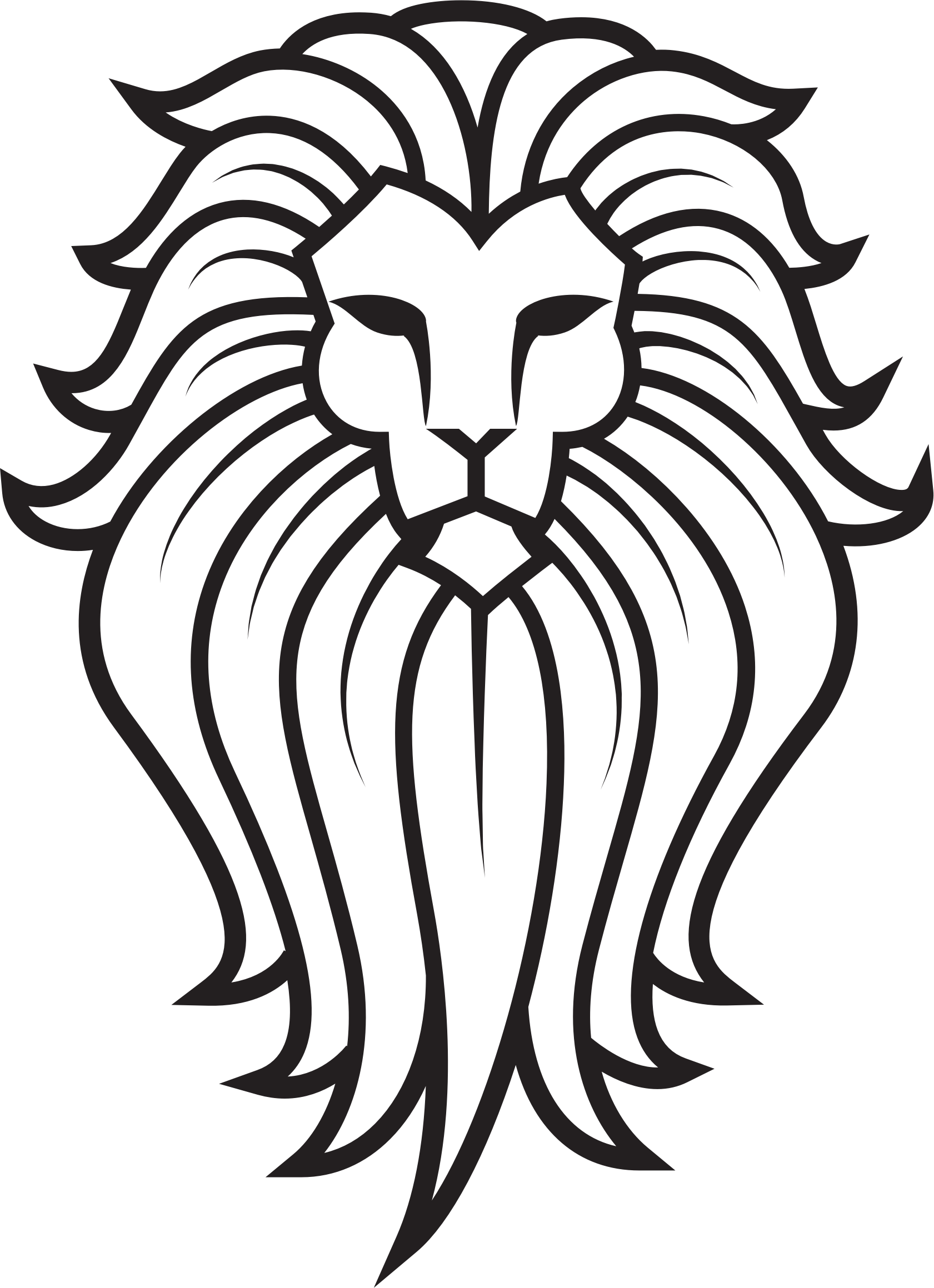 Lion Drawing PNG Isolated File