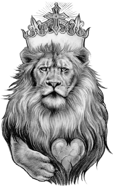 Lion Drawing PNG Isolated Pic