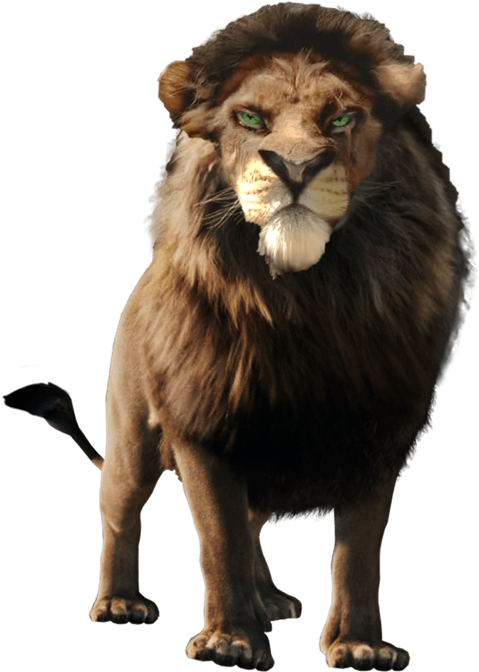 Lion King PNG Isolated HD