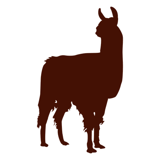 Llama PNG Image