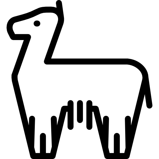 Llama PNG Photo