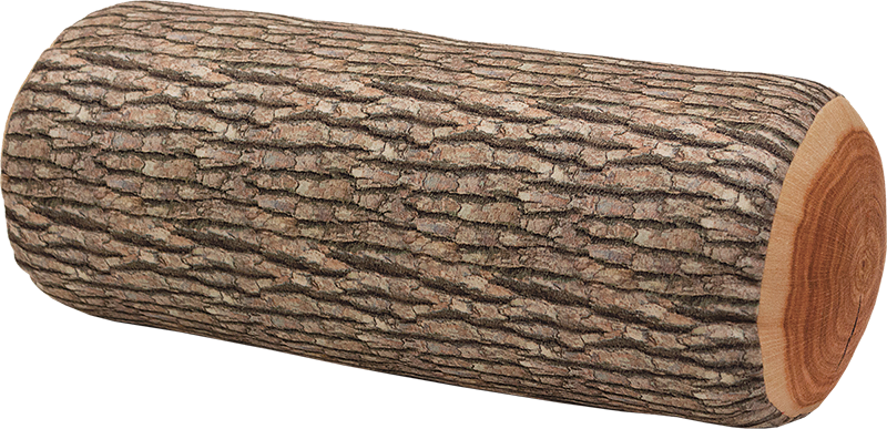 Log PNG HD Isolated