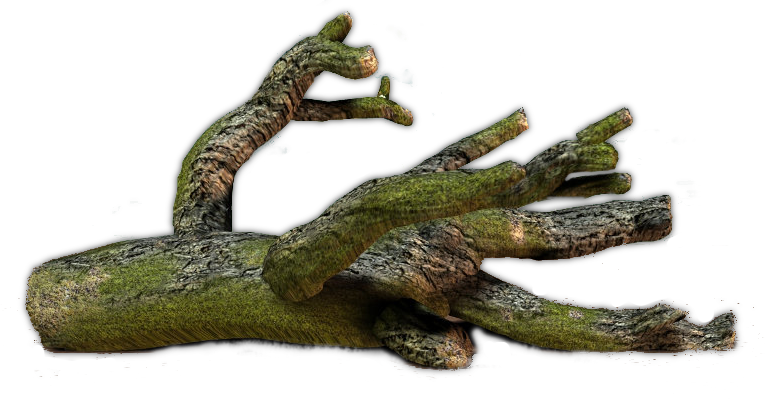 Log PNG Isolated Pic