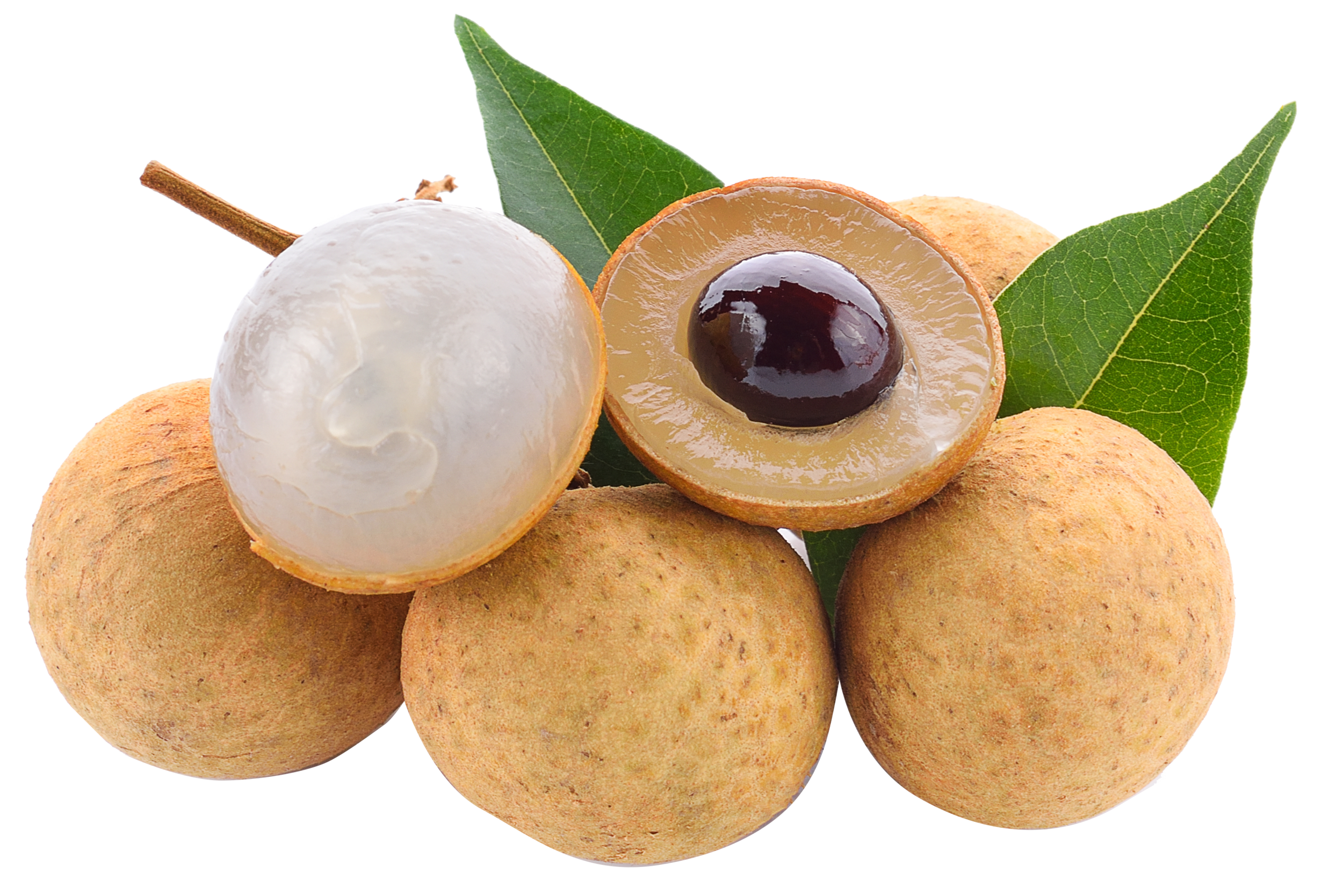 Longan PNG HD Isolated