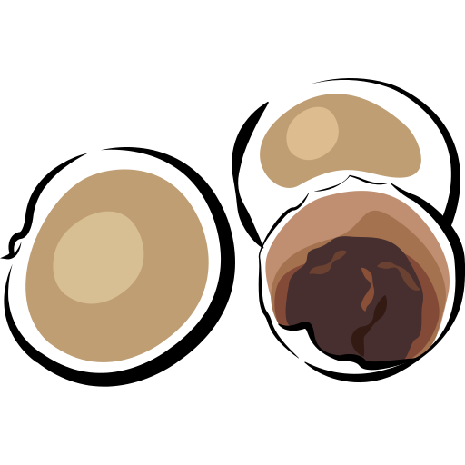 Longan PNG Isolated Image