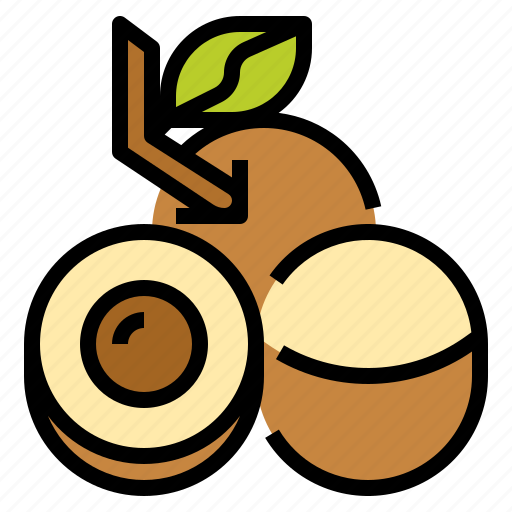 Longan PNG Isolated Photo