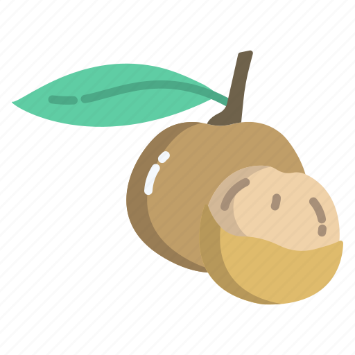 Longan PNG Isolated Pic