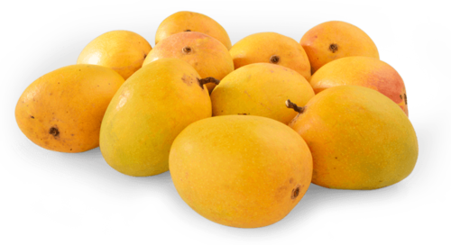 Loquat PNG Isolated HD