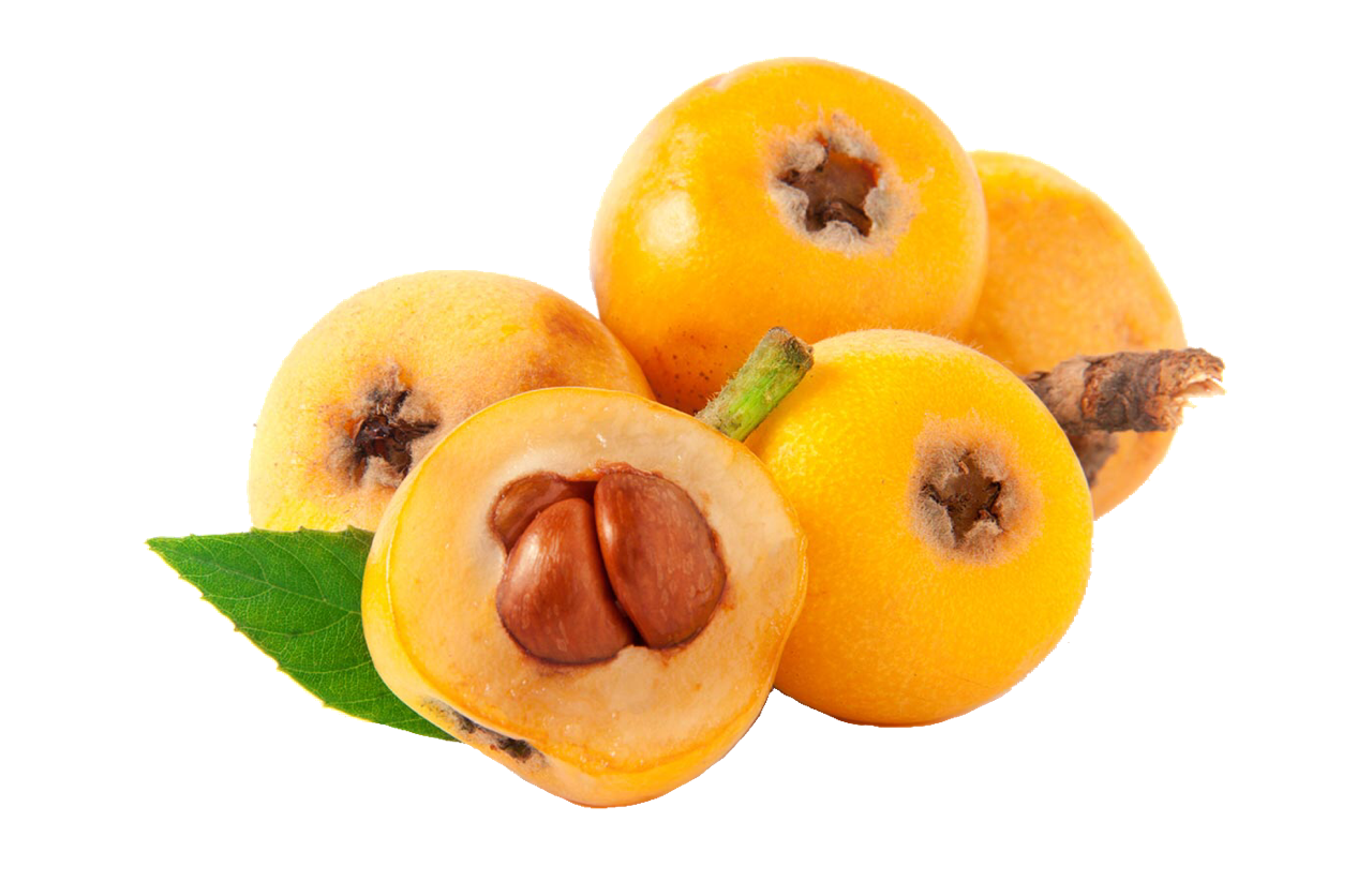 Loquat PNG Isolated Image