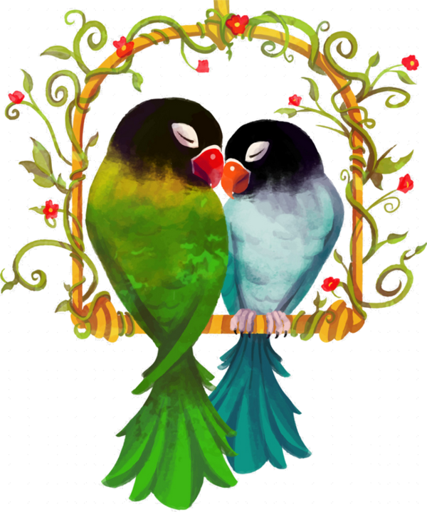Lovebirds PNG HD Isolated