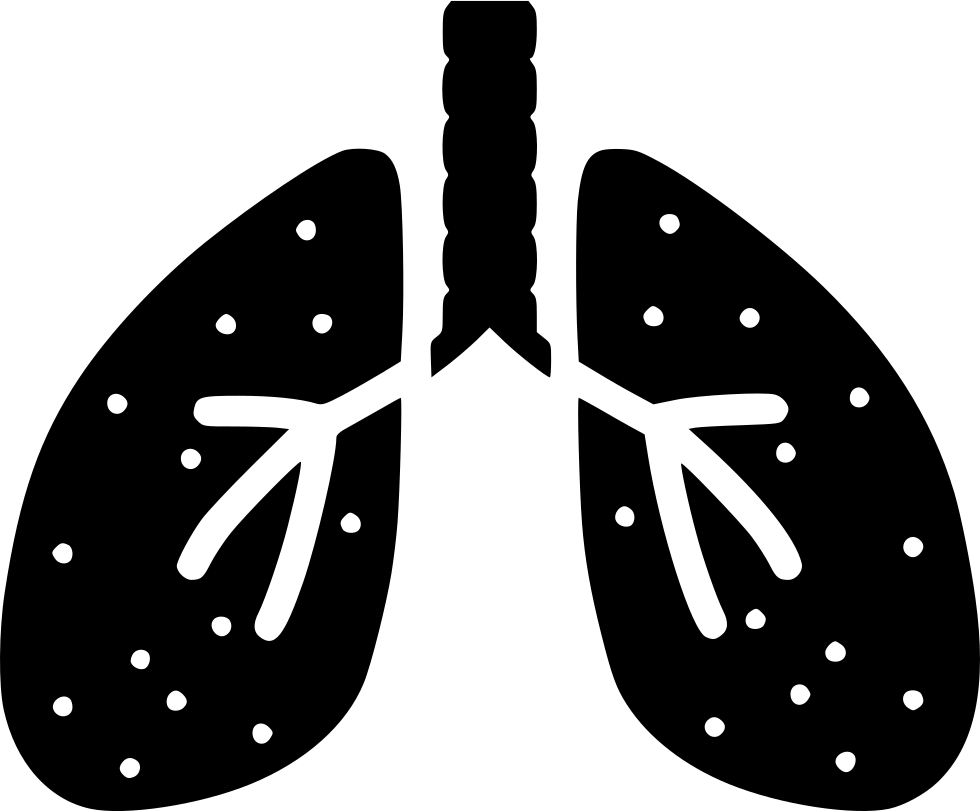 Lung PNG File