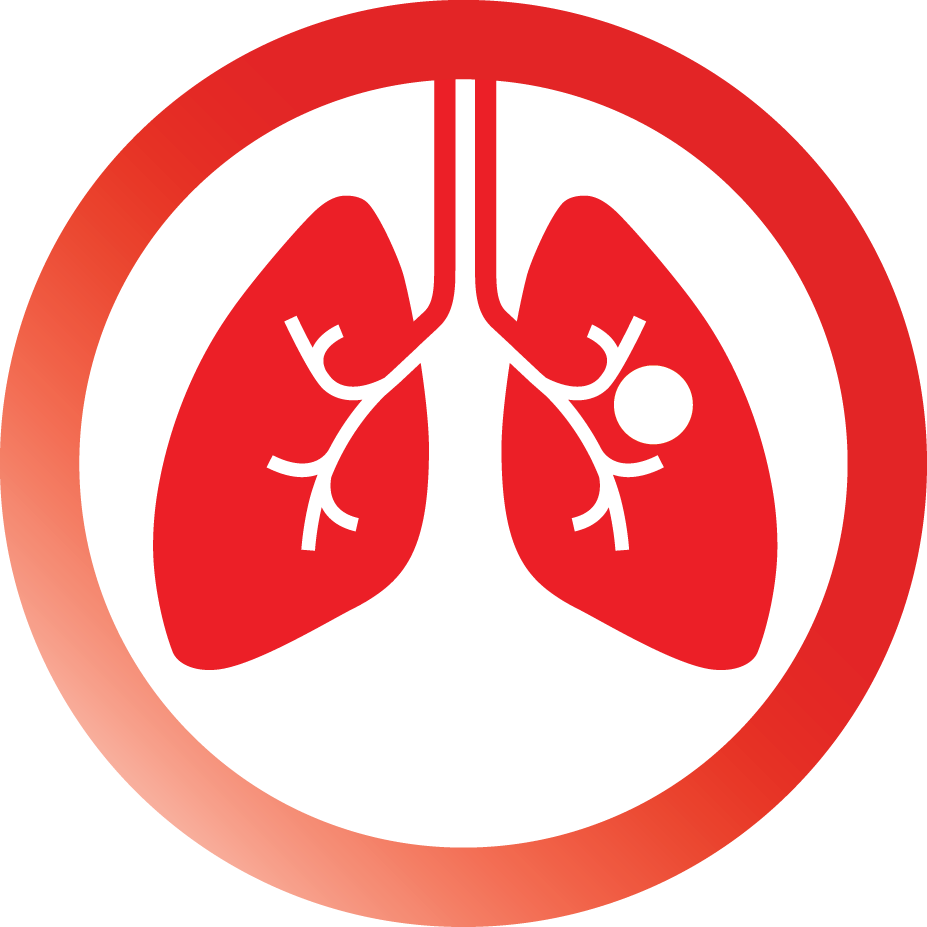 Lung PNG Image