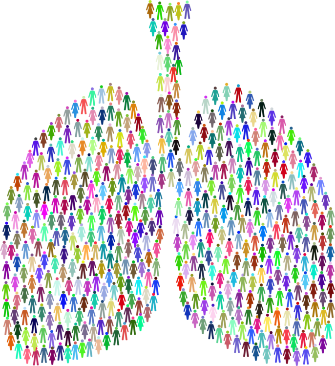 Lung PNG Isolated Free Download