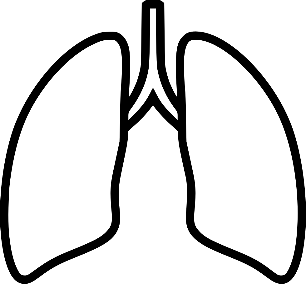 Lung PNG Isolated Photos