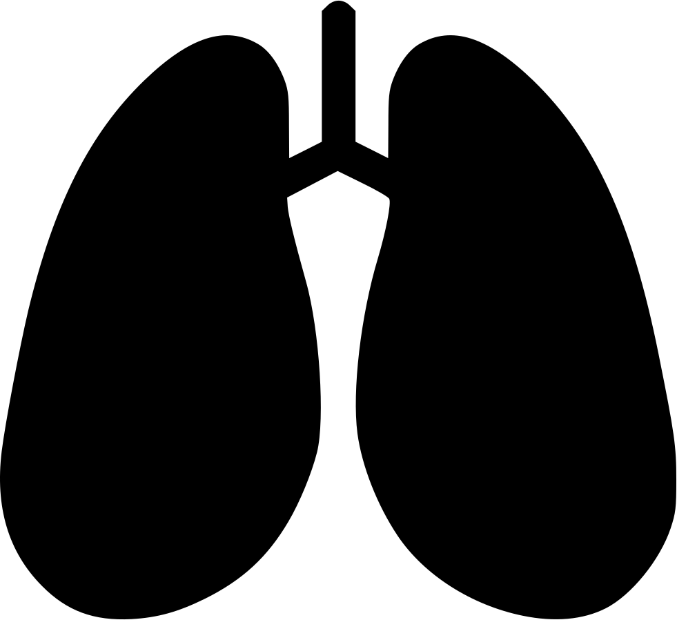 Lung PNG Transparent Picture