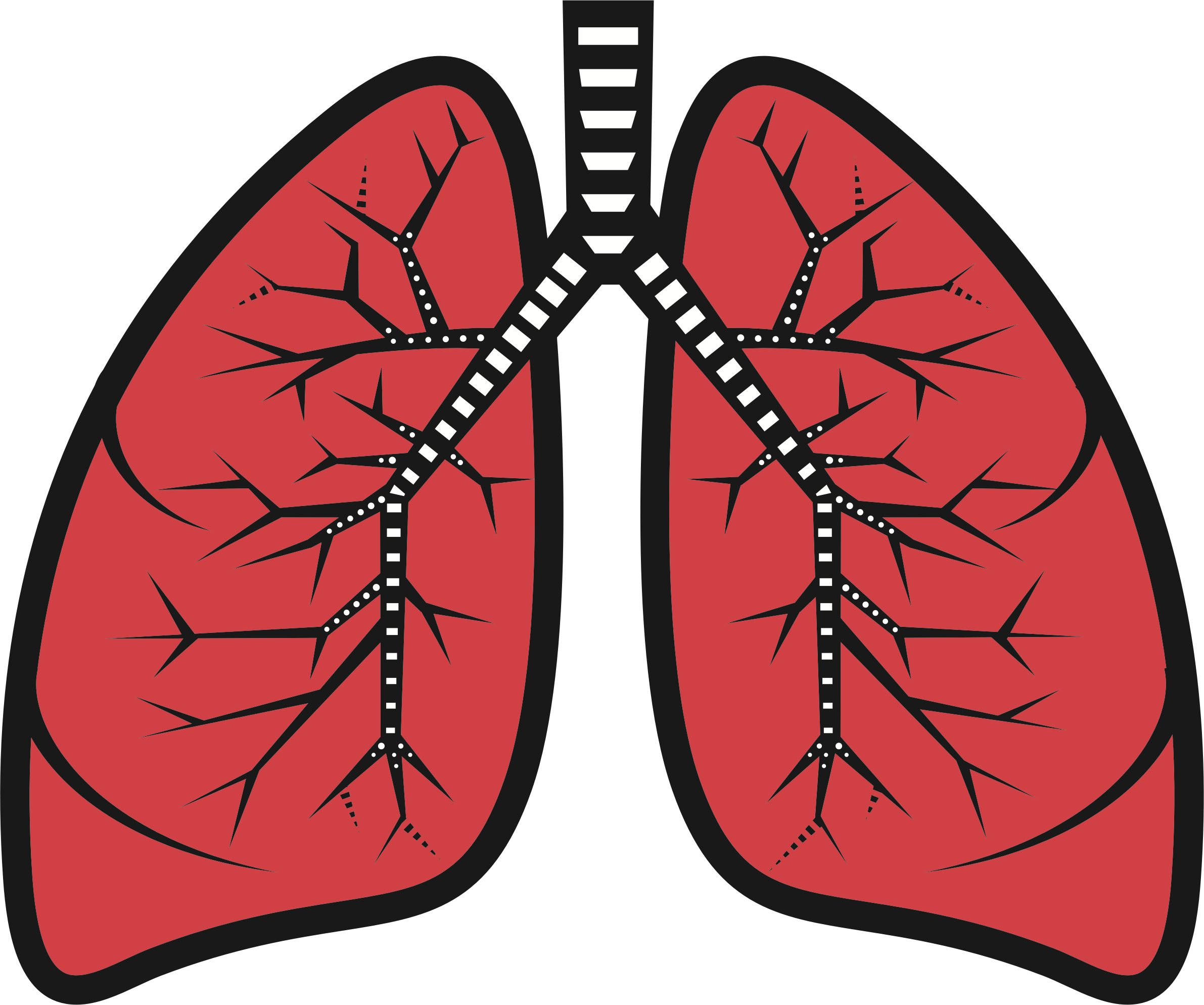 Lung Transparent Isolated Background