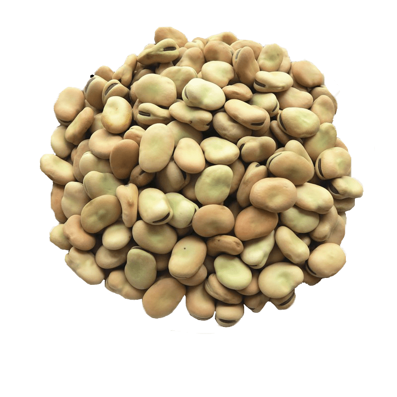 Lupini Beans PNG HD