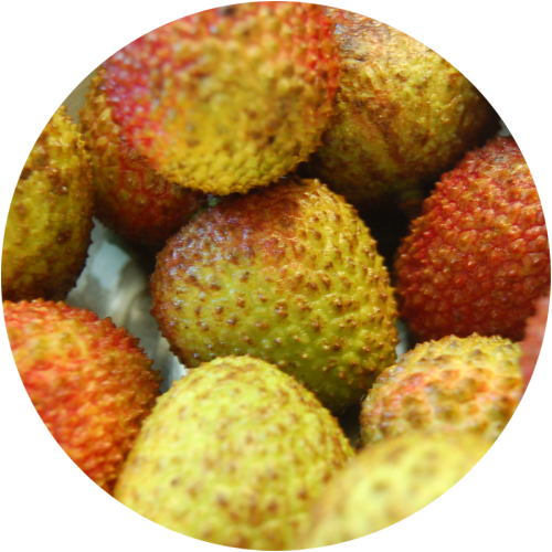 Lychee Download PNG Image