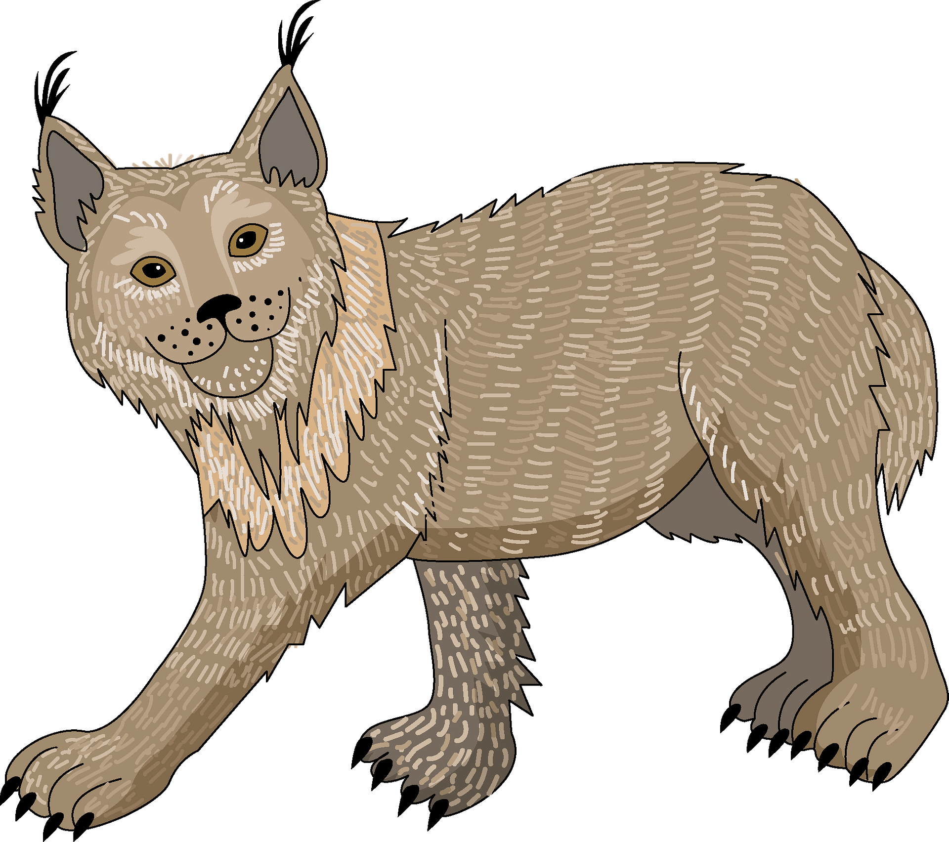 Lynx PNG Clipart