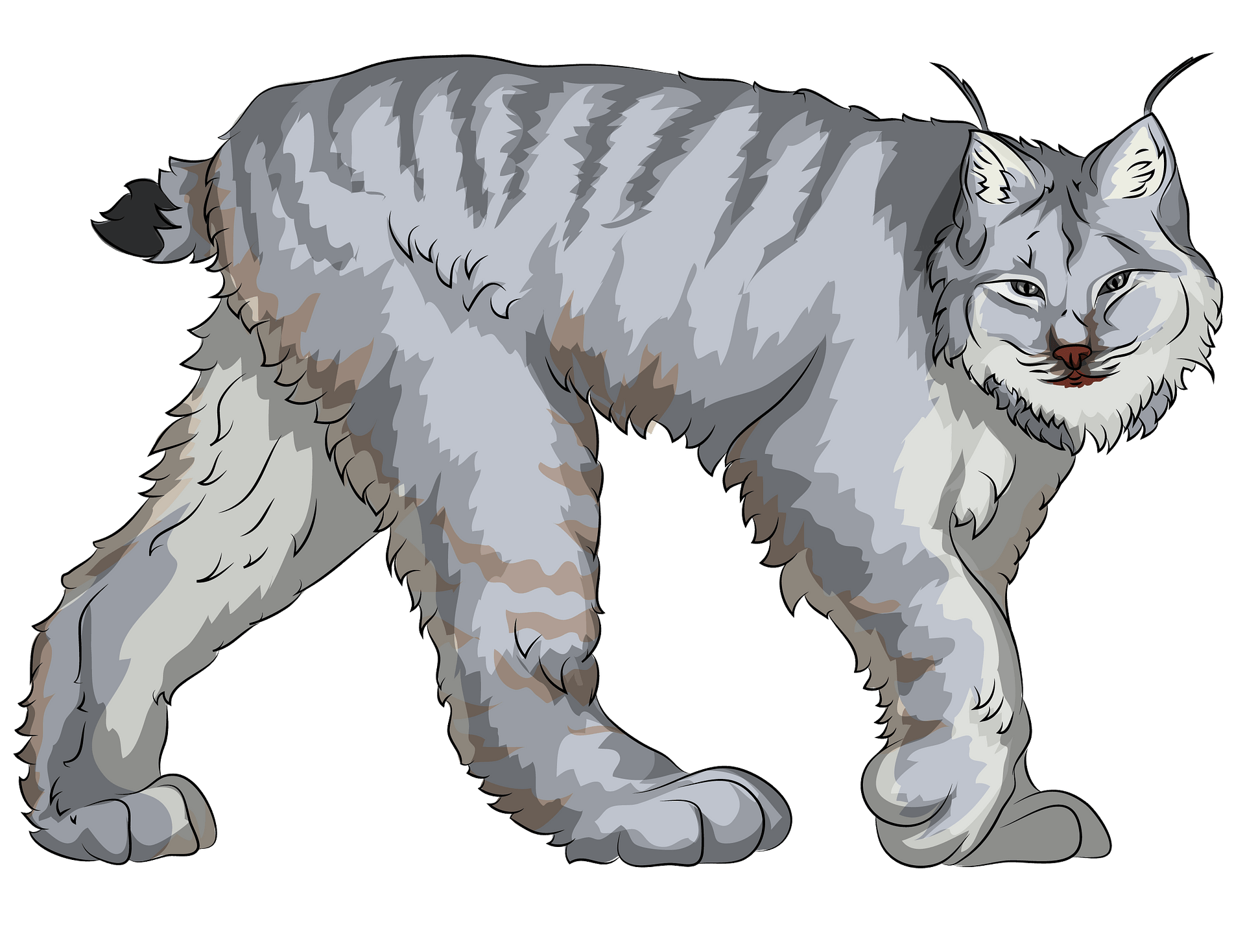 Lynx PNG File