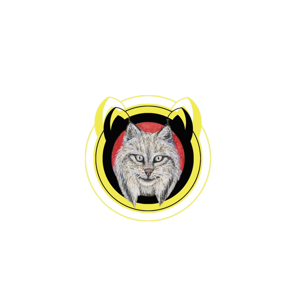 Lynx PNG Isolated File