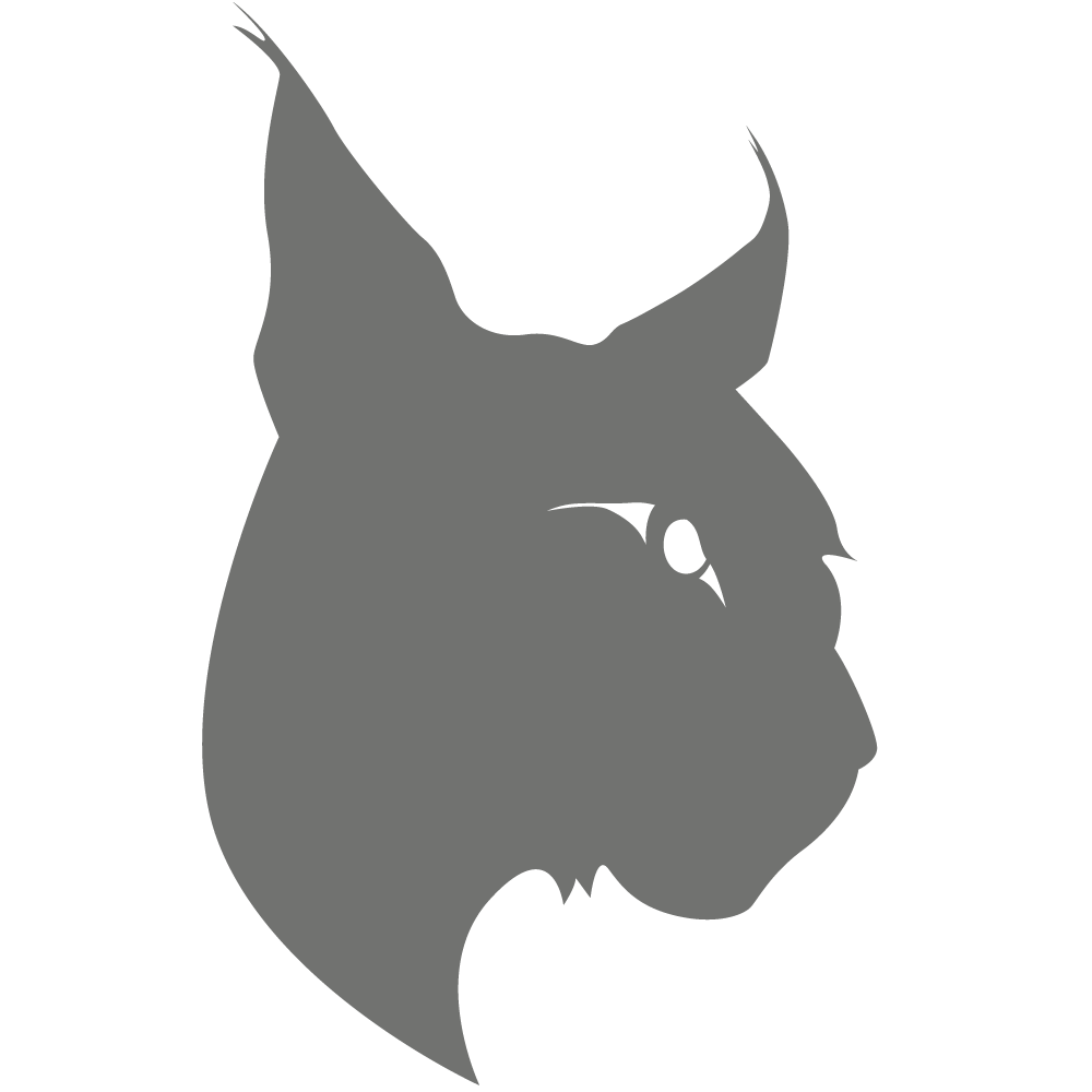 Lynx Transparent Isolated PNG