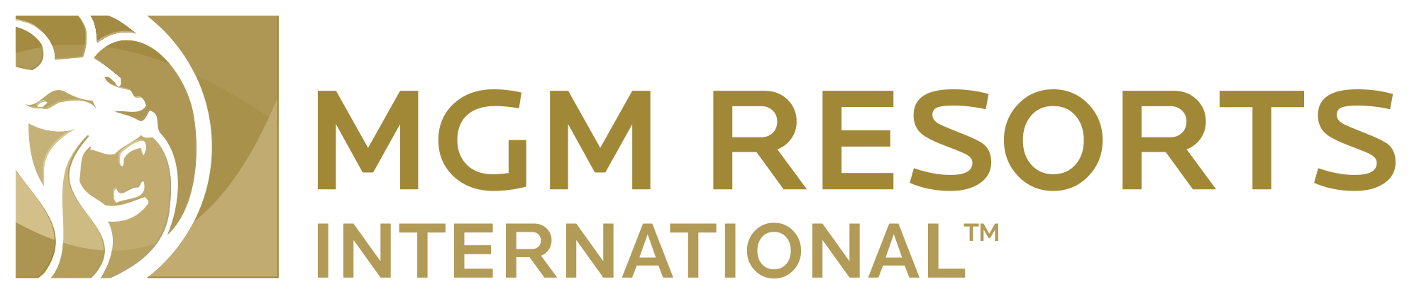 MGM Holdings Logo PNG Image
