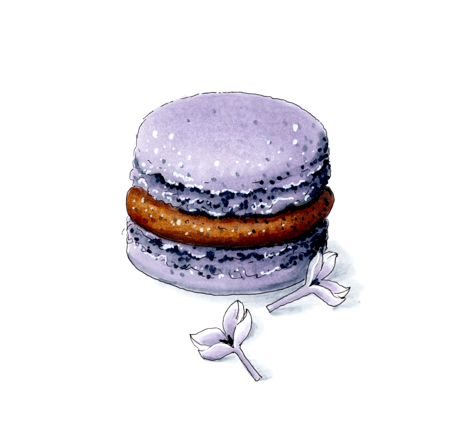 Macaron PNG Isolated Free Download