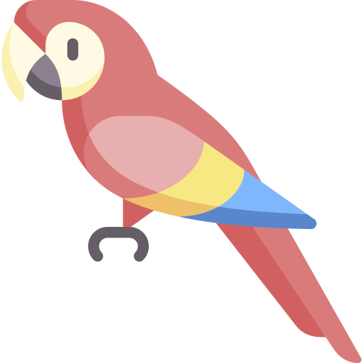 Macaw PNG HD Isolated